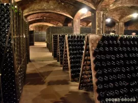 Cava Blancher Capdevila Pujol