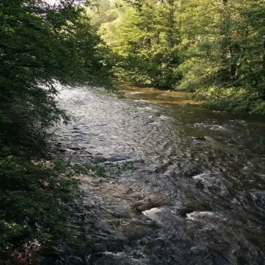 PrevenControl ITV Ripoll