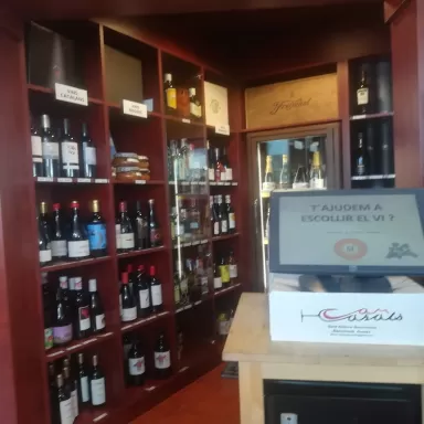 Gasolinera Nieves Sant Esteve Sesrovires