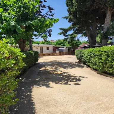 Càmping El Carlitos