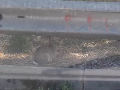 E.S. BP Inursa Barcelona