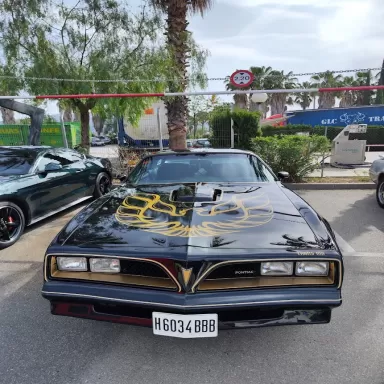 Gasolinera Les Palmeres REPSOL