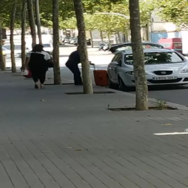 E.S. Evolution Pere IV