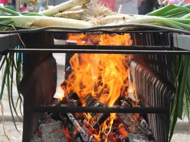 Cava Blancher Capdevila Pujol