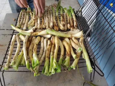 E.S. Evolution L'Hospitalet