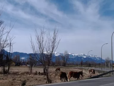 ITV Puigcerdà Applus