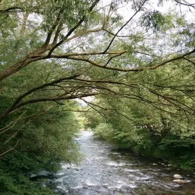 PrevenControl ITV Ripoll