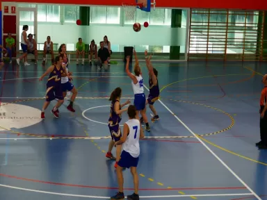 Illa Esportiva