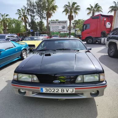 Gasolinera Les Palmeres REPSOL