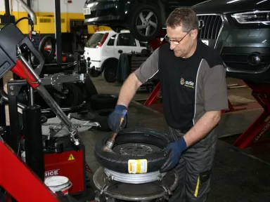 Neumáticos Martin Rius S.L.