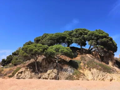 Platja El Morer