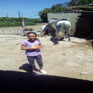 Petrocat - Estación de Servicio