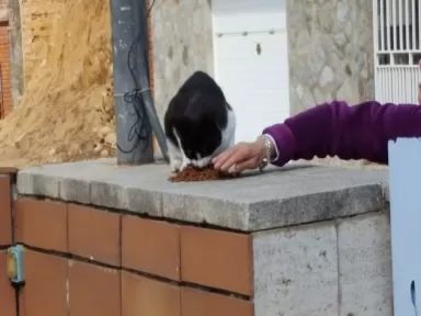 E.S. Evolution L'Hospitalet