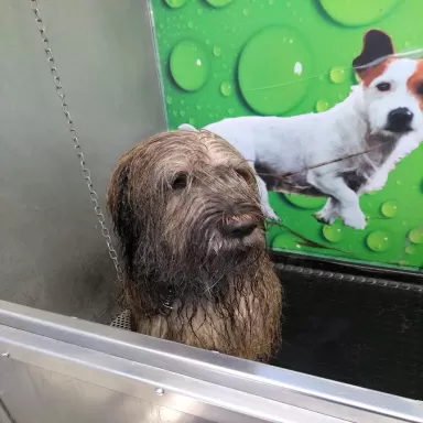 Auto Rentat Sant Quirze