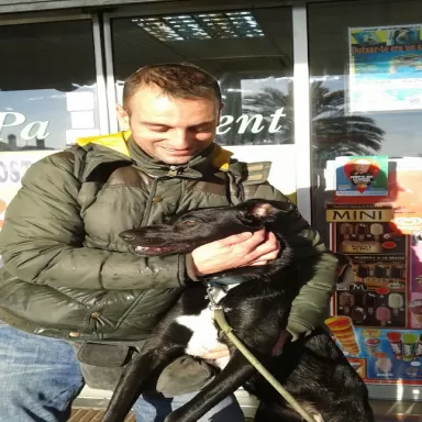 LavaloTodo, Santa Coloma