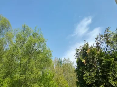 PrevenControl ITV Ripoll