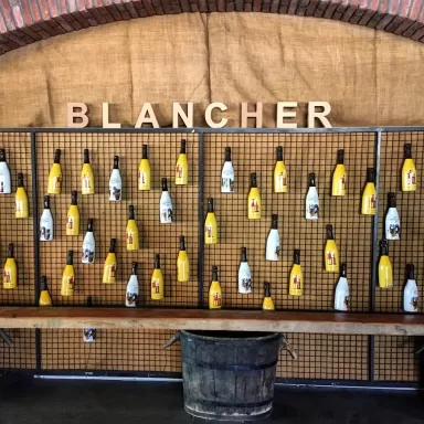 Cava Blancher Capdevila Pujol