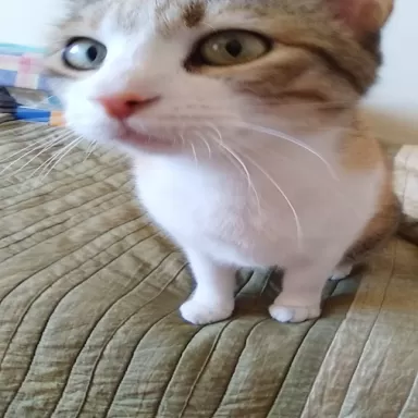 Autodesguaces La Gleva