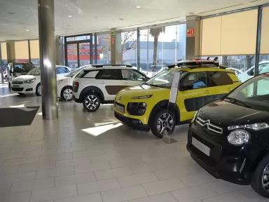 CITROËN STELLANTIS &YOU SANT BOI