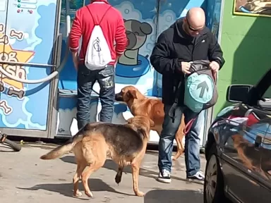 LavaloTodo, Santa Coloma