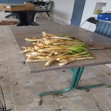 E.S. Evolution L'Hospitalet