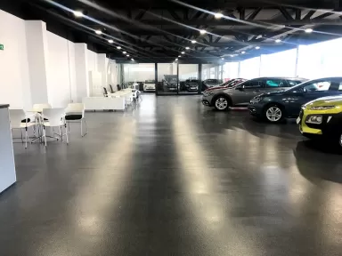 Grup T Seminous - Autovivo