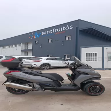 ITV Sant Fruitós Red Itevelesa
