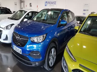 Grup T Seminous - Autovivo