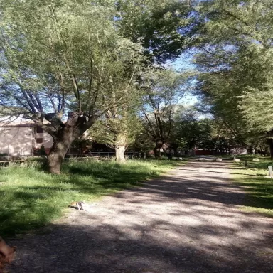 PrevenControl ITV Ripoll