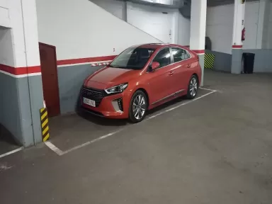 Grup T Seminous - Autovivo