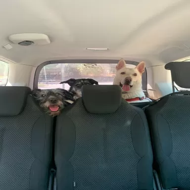 Auto Rentat Sant Quirze