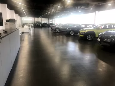 Grup T Seminous - Autovivo