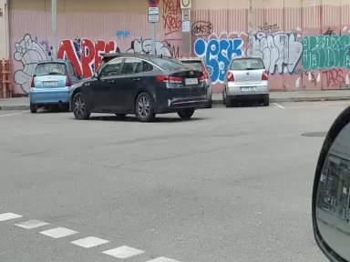 E.S. Evolution Pere IV