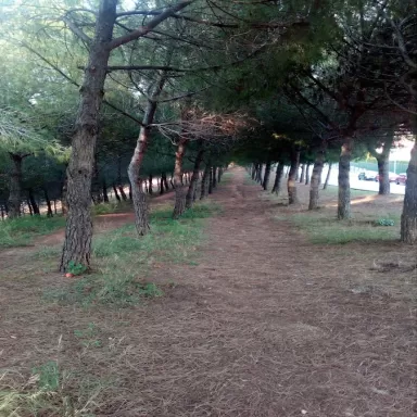 Illa Esportiva
