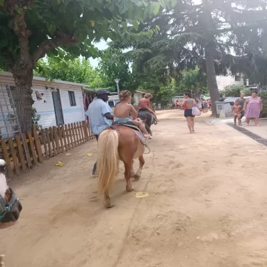 Càmping El Carlitos