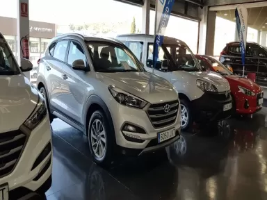 Grup T Seminous - Autovivo