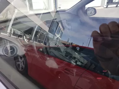 Grup T Seminous - Autovivo