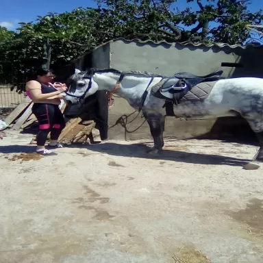 Petrocat - Estación de Servicio
