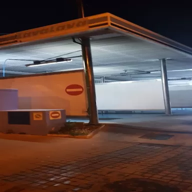 Delfín Badalona