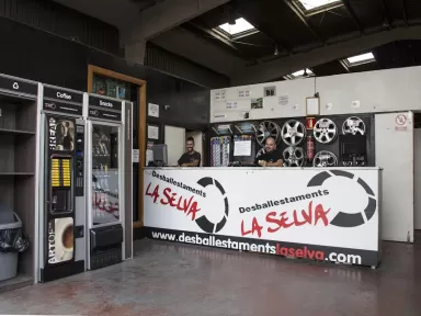 Desballestaments la Selva